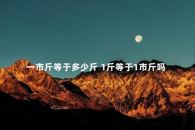 一市斤等于多少斤 1斤等于1市斤吗